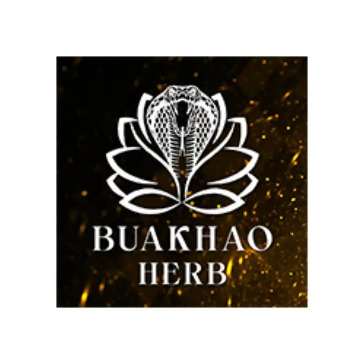 Jobs,Job Seeking,Job Search and Apply %Buakhaotrading