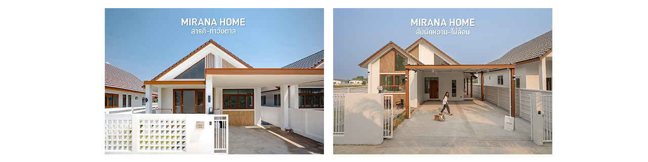 Jobs,Job Seeking,Job Search and Apply %มิราน่า ดีเวลลอปเม้นท์