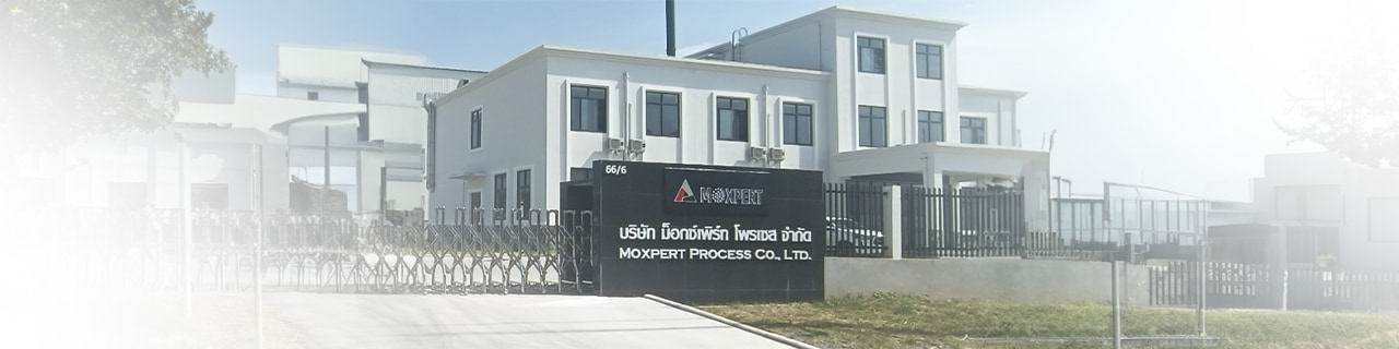 Jobs,Job Seeking,Job Search and Apply %ม็อกซ์เพิร์ท โพรเซส