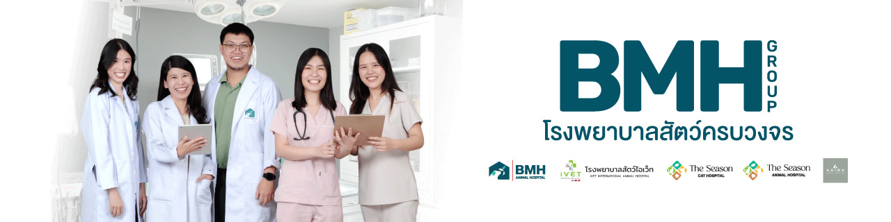 Jobs,Job Seeking,Job Search and Apply %บีเอ็มเอช แอนนิมอล เฮลท์