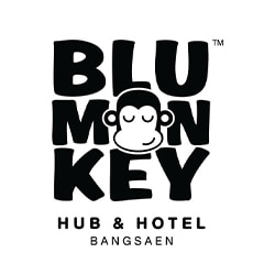 งาน,หางาน,สมัครงาน Blu Monkey hubhotel Bangsaen โรงแรมบลูมังกี้ฮับแอนด์โฮเทล บางแสน