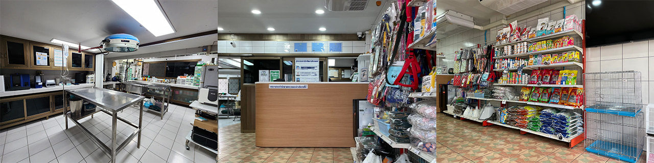 งาน,หางาน,สมัครงาน %แฮปปี้แลนด์ แอนิมัล เฮลธ์