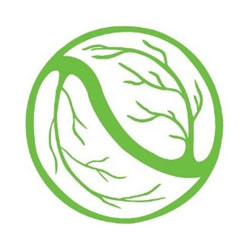 งาน,หางาน,สมัครงาน พีที พาราวู้ด