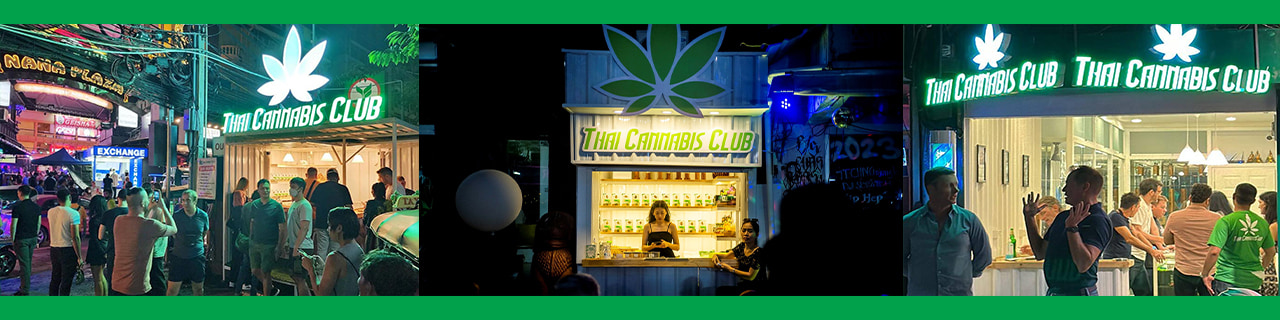 งาน,หางาน,สมัครงาน Thai Cannabis Club