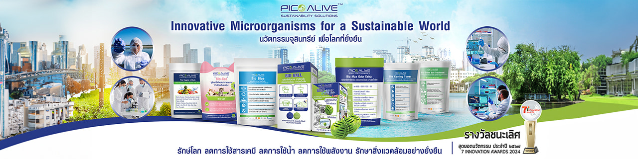 งาน,หางาน,สมัครงาน PICO ALIVE COMPANY LIMITED