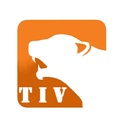 Jobs,Job Seeking,Job Search and Apply Technical Inspection and Verification