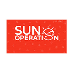 Jobs,Job Seeking,Job Search and Apply Sun Operation