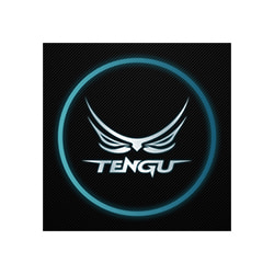 งาน,หางาน,สมัครงาน เทนงูเกมมิ่งเกียร์