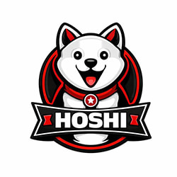 งาน,หางาน,สมัครงาน ร้านสกรีนเสื้อ HOSHI KAIZEN