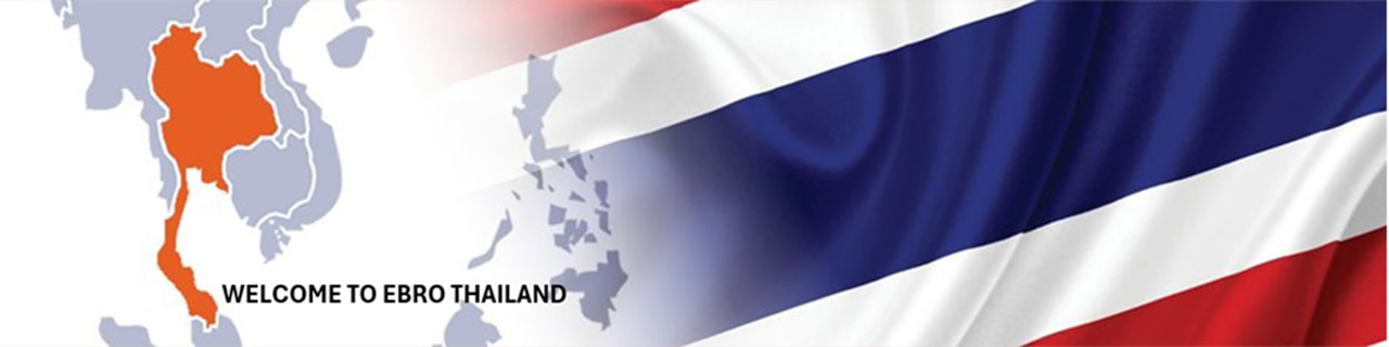 Jobs,Job Seeking,Job Search and Apply %Ebro Valves Trading Thailand