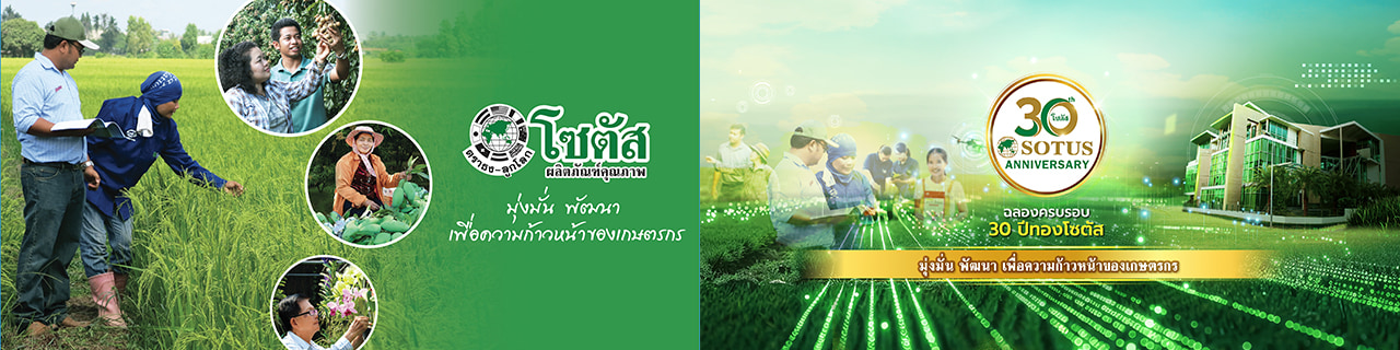 Jobs,Job Seeking,Job Search and Apply %SOTUS INTERNATIONAL