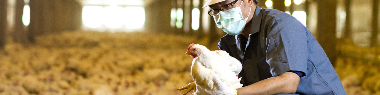 งาน,หางาน,สมัครงาน %จีเอฟพีที