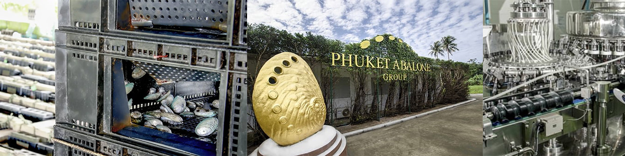 งาน,หางาน,สมัครงาน AOVA  Phuket Abalone Group