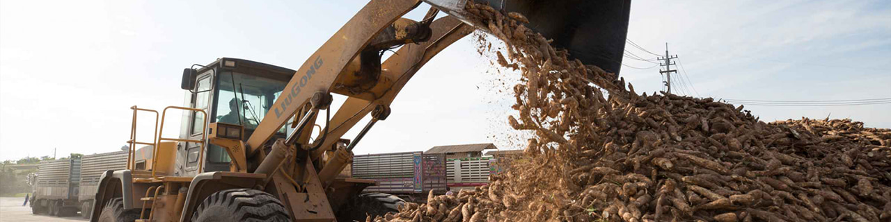 Jobs,Job Seeking,Job Search and Apply %สงวนวงษ์อุตสาหกรรม  และฯ