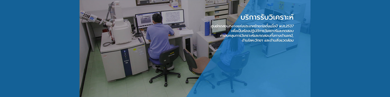 Jobs,Job Seeking,Job Search and Apply %ไทย ปาร์คเกอร์ไรซิ่ง
