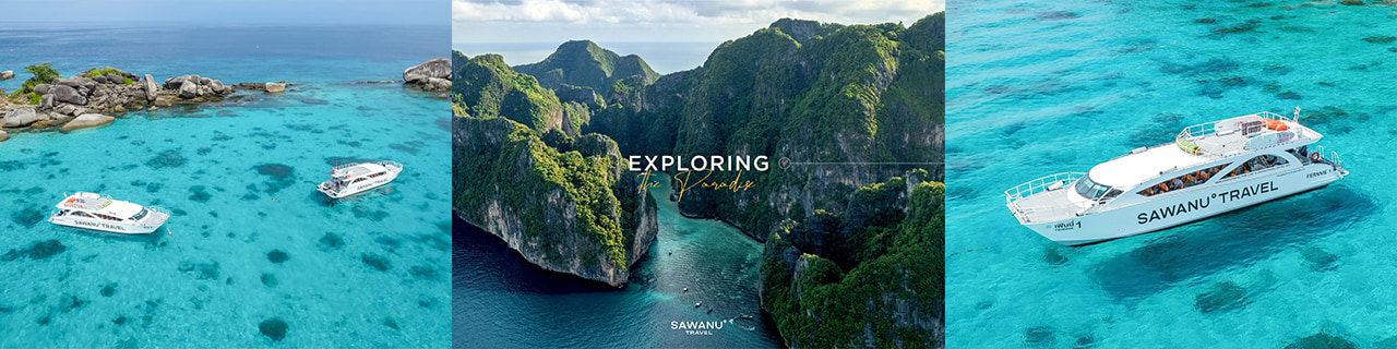 งาน,หางาน,สมัครงาน %ซาวานู ทราเวล    ซาวานู