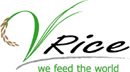 Jobs,Job Seeking,Job Search and Apply V Rice International