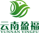 งาน,หางาน,สมัครงาน Yunnan Yingfu Trading