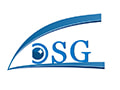 งาน,หางาน,สมัครงาน DSG Advanced  Material Thailand CO