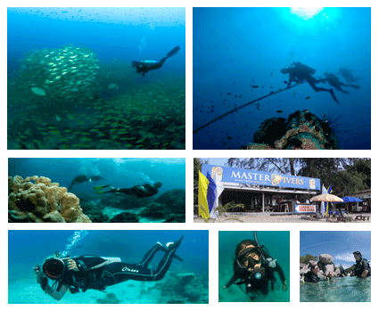 งาน,หางาน,สมัครงาน Master Divers