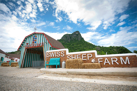 Jobs,Job Seeking,Job Search and Apply Swiss Sheep Farm