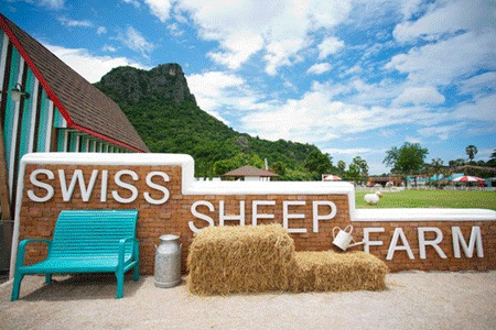 Jobs,Job Seeking,Job Search and Apply Swiss Sheep Farm ชลบุรี